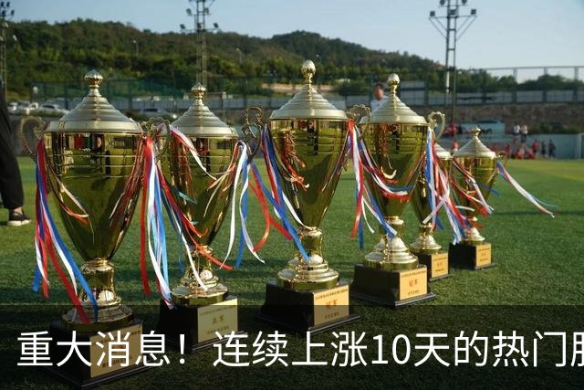 重大消息！连续上涨10天的热门股票停牌审查！